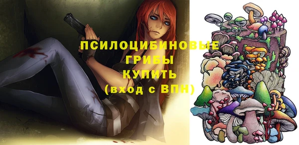 apvp Алексеевка