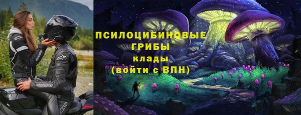 apvp Алексеевка