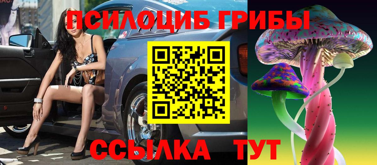 Галлюциногенные грибы Cubensis Апшеронск