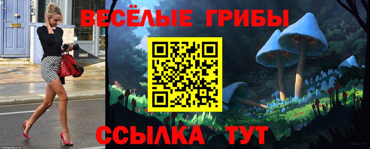 Псилоцибиновые грибы прущие грибы  Вход с VPN  Псилоцибиновые грибы GOLDEN TEACHER  Апшеронск 